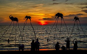 7/1起直飛富國島！星宇航空：開航後每週五班往返