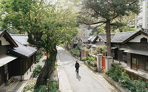 結合山林選品、綠地景觀！北市僅存「日式木造宿舍群」3/22開幕