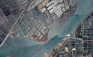 空拍西部沿海出現「摩斯密碼」？林業署給解答