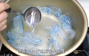 (影) 不要命了？為蹭流量 日網友竟收集僧帽水母煮食 網 : 千萬毋湯!