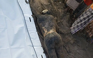 時機敏感! 美國大兵落水 屍體被沖上葉門胡塞荷台達海岸