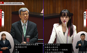 人工生殖開放單身女性 陳建仁允諾半年內送審 