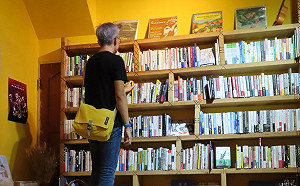 專論》書店：當蜜蜂消失的那天 