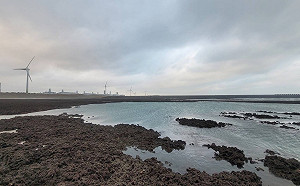 環團稱「撤銷三接許可案」勝訴！中油否認：不會停工拼114年完工