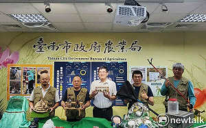 台南首創捕蜂捉蛇委外成果顯著  全年無休為民服務不打烊