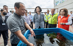 蔡英文赴澎湖親種珊瑚　盼國人重視海洋保育
