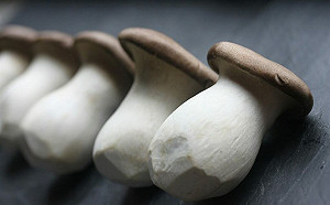 農業部嚴正澄清 台灣木耳、杏鮑菇未曾驗出米酵菌酸