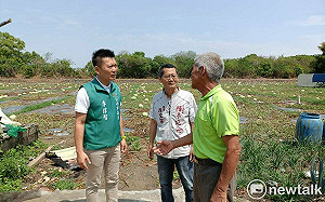 善化六分寮10餘公頃西瓜泡水  陳亭妃要求全面檢討農業排水