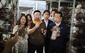 寶林食安事件牽連嘉義縣木耳農 翁章梁：對生產業者不公平 