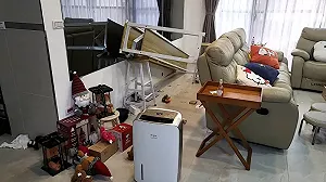 醫親曝解方！4成患者有假性地震