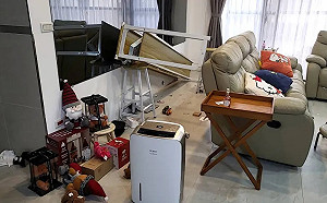 醫親曝解方！4成患者有假性地震