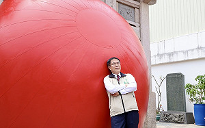 台南紅球計畫突發事故 疑遭鷹架勾破當場消風