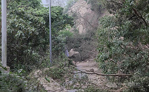 花蓮地震失聯降至10人  受困地點集中在天祥