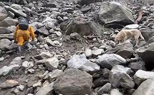 403 大地震》搜救犬協尋建功！「砂卡礑」尋獲第3具遺體