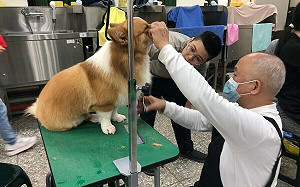 中市勞工局助待業勞工就業 職前訓練班就業率達80%