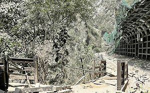 花蓮累積704餘震！鋒面報到土石恐崩落 氣象署：避免山區活動