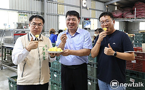 台南鳳梨前進新加坡唐吉訶德 外銷5.8公噸預購已賣三分之二