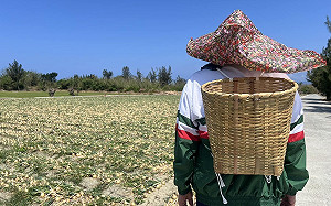 傳任總統府秘書長 潘孟安自曝在恆春「挽蔥頭」