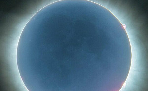 下一次要等20年! 日全蝕震撼北美  連學校都停課觀賞