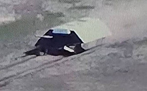 (影)「烏龜坦克」出籠了！防無人機轟炸俄軍出奇招 未突破防線忙「爬回」