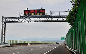 國道第七封！今年近40萬隻紫斑蝶飛越 創16年新紀錄