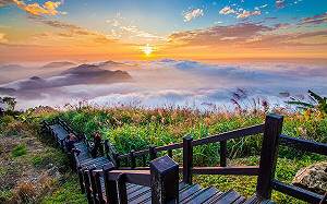 白天踏青晚上賞螢！嘉義6親子共遊步道一次看