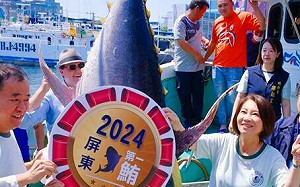 屏東「天下第一鮪」 每公斤10300創歷史天價