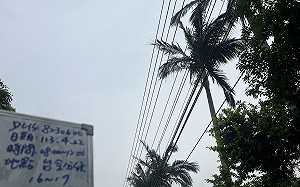 小人國中午突然停電 台電：施工樹枝掉落誤觸高壓線路　　