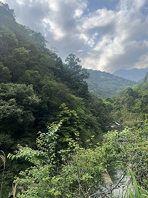 踏青止步!新北滿月圓國家森林遊樂區休園2天 4/27恢復營運