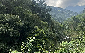 踏青止步！新北滿月圓國家森林遊樂區休園2天 4/27恢復營運