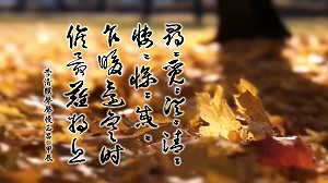 朱玉昌古典新詮》聲聲喚愛憐 易安提筆蘸淚寫愁情