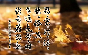 朱玉昌古典新詮》聲聲喚愛憐 易安提筆蘸淚寫愁情