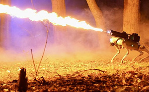 (影) 火焰機器狗上戰場? 仿阿諾、命名Thermonator 美國熱賣中