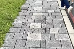花蓮6.1地震前兆?她見「天地2異象」嚇壞