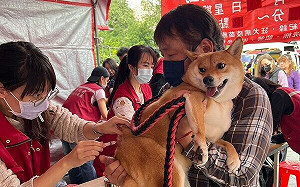 飼主未移轉寵物晶片 新北市動保處開罰11萬元