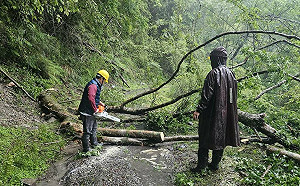 鋒面襲台！大鹿林道東線坍方不斷 雪管處：自行車仍禁止通行