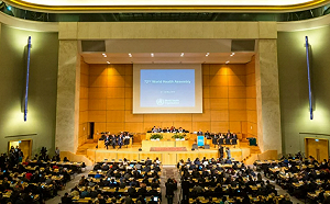 11友邦齊聚挺台入世衛：世界正錯過台灣貢獻