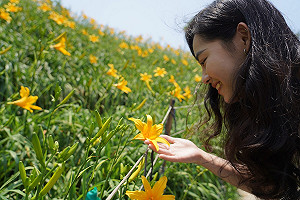 花壇虎山巖開滿金針花 母親節假期來享受金黃花海