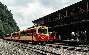 阿里山小火車中斷15年！42號隧道完工   7/1全線恢復通車