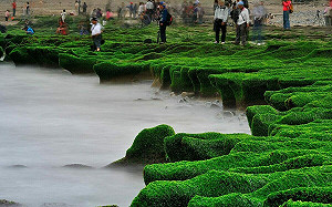 為拍美照踏老梅綠石槽！北觀處籲：在沙灘處欣賞