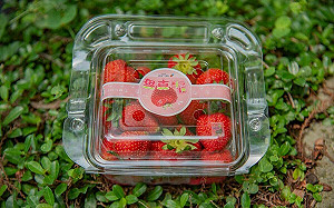 台灣首顆碳標籤草莓誕生！農改場：台一休閒農場5年碳足跡減量3%