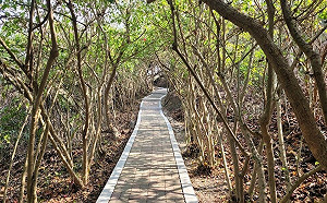 徐巧芯批交通部用微博賺「紅錢」！觀光署回應了