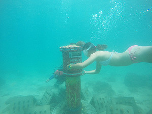 寄信給美人魚 藝術魚礁海底郵筒在這裡