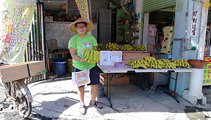搭觀光公車去「蕉」遊  還可鐵馬鄉間漫遊