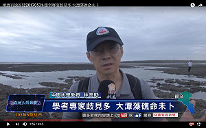 濕地學會護航中油?  環團批聲明稿越描越黑