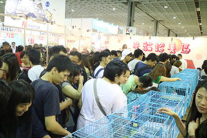 2017寵物展  24Hr到貨大搶消暑財