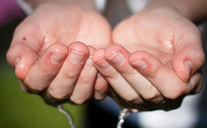 這樣太危險！五成山泉水生飲恐致病