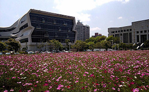 城市裡有花海！ 中部遊憩新亮點