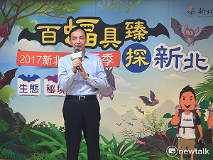 暑假「蝠」氣到   新北推系列尋蝠活動
