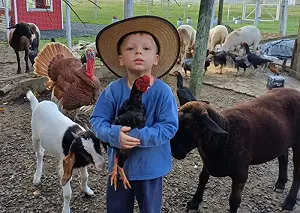 小動物超愛他!「3歲小農夫」日常生活爆紅